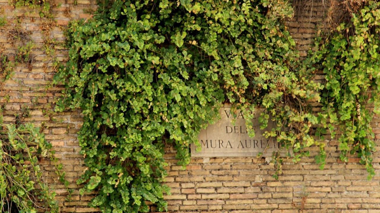 Vista San Pietro Apartman Róma Kültér fotó